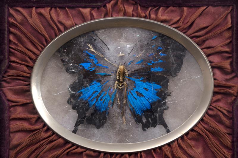 <span>Becoming Everything</span><br />2015 - 6 3/4&quot x 8 3/4&quot x 1&quot - decomposed butterfly, tiny bones, mica, mixed media