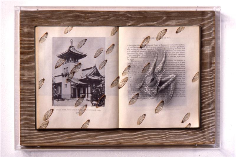<span>Bitter Rain</span><br />1997 - 14&quot x 20&quot x 2½&quot - book, graphite, cicada wings, wood